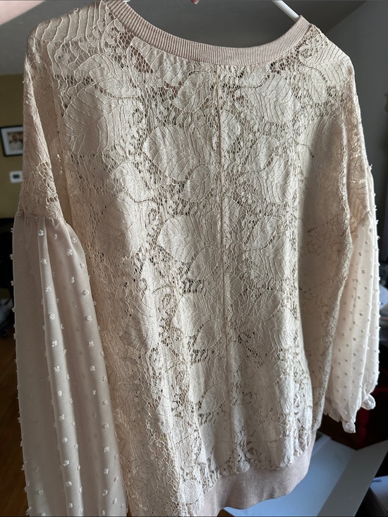 Mystree Tops - Mystree Lace Front & Sheer Dobby Sleeve Sweatshirt in Light Beige